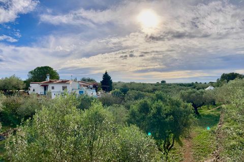 Landejendom i L'Ampolla, Tarragona, L'Ampolla - € 459.000 | Ref: Finca Bouddha - foto 8